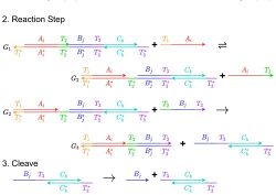 Computing Mathematical Functions with Chemical Reactions via Stochastic Logic