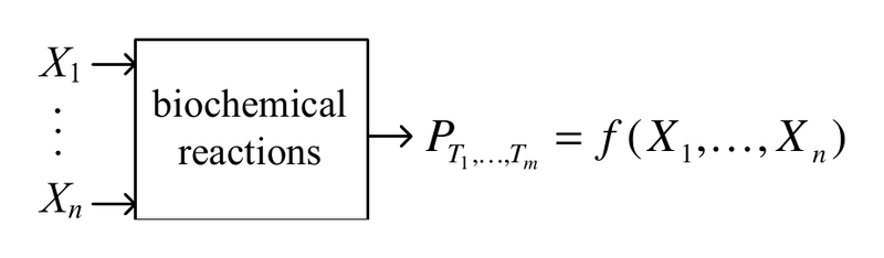 File:Synthesizing Stochasticity Biochemical Module.png