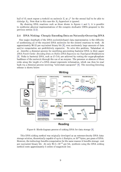 File:Hoffe083 honors thesis final report.pdf
