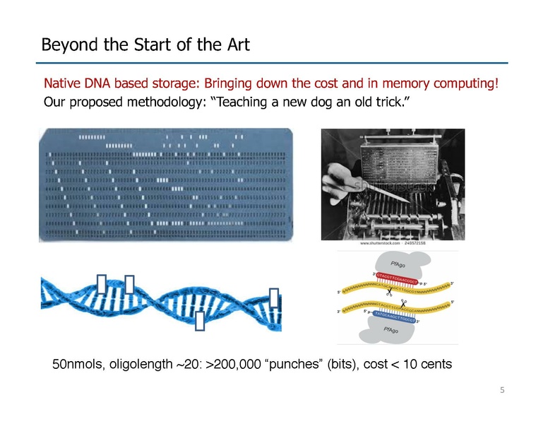 File:Riedel Storage and Processing with Native DNA.pdf