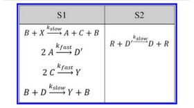 Discrete-Time Signal Processing with DNA